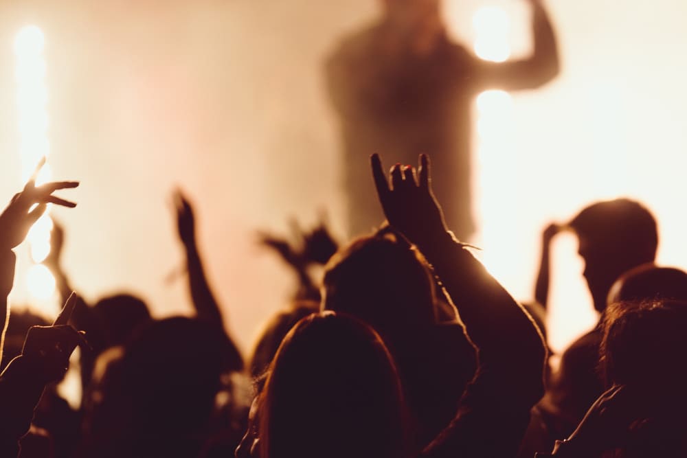 Sound Check in Concert: Experience the VIP Magic Before the Show 4 Enjoying sound check in concerts with favourite artists